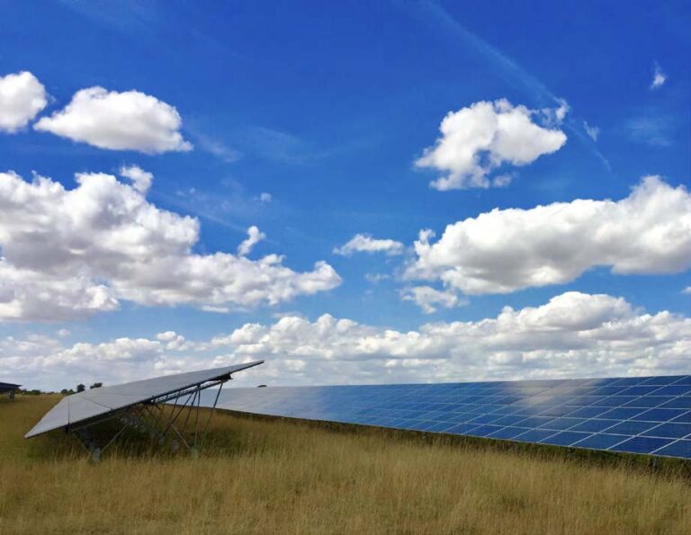 Blue photovoltaic solar panels mounted in fields for producing clean ecological electricity. Production of renewable energy concept.